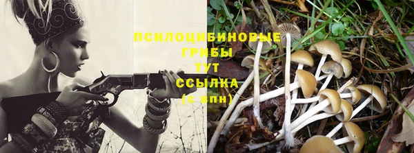 дмт Майский