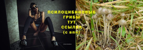 jwh Магадан