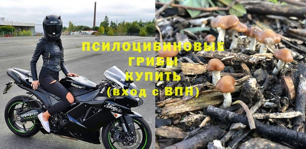 дмт Майский