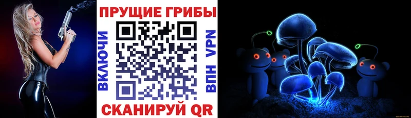закладка  Топки  Галлюциногенные грибы мицелий 