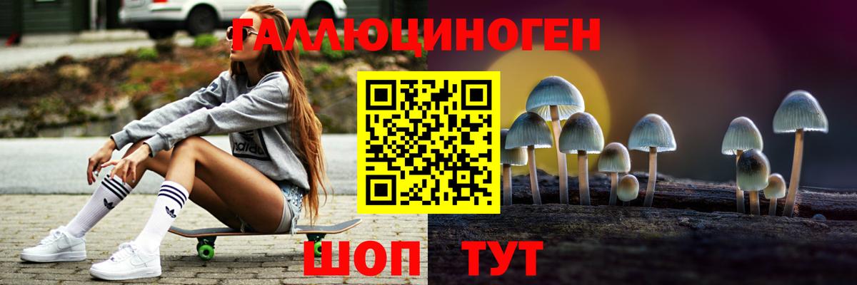 Топки  Галлюциногенные грибы Psilocybine cubensis  Вход с VPN 