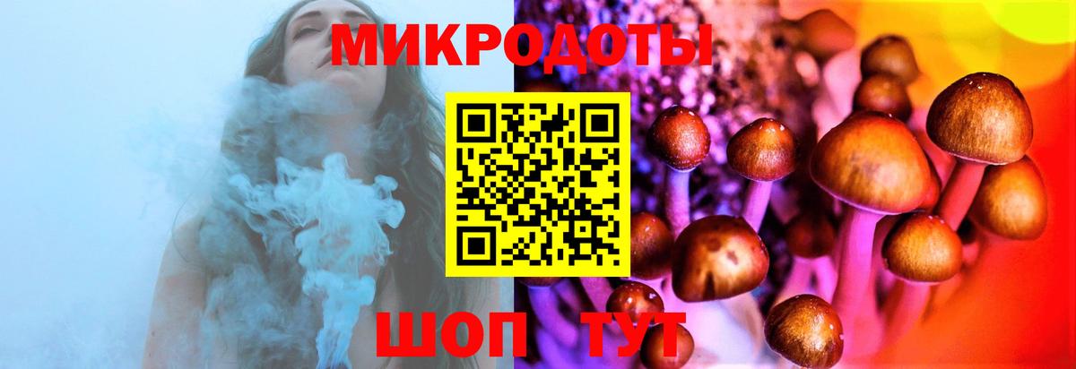 Галлюциногенные грибы Cubensis Топки
